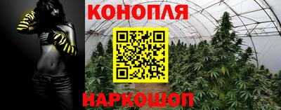 каннабис Ачхой-Мартан