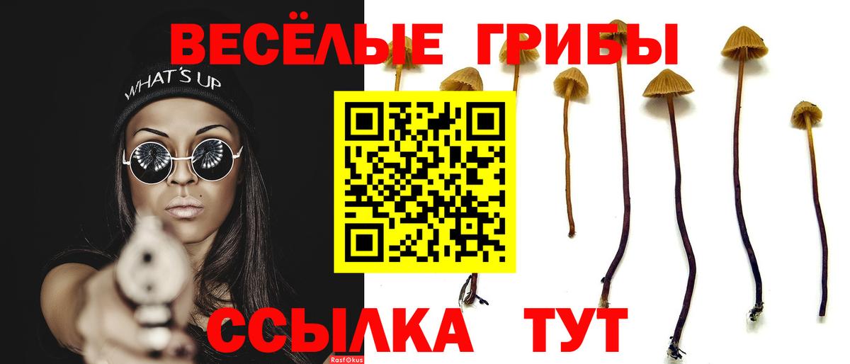 Галлюциногенные грибы GOLDEN TEACHER  Псилоцибиновые грибы Psilocybine cubensis  Вход с VPN  Алексеевка 
